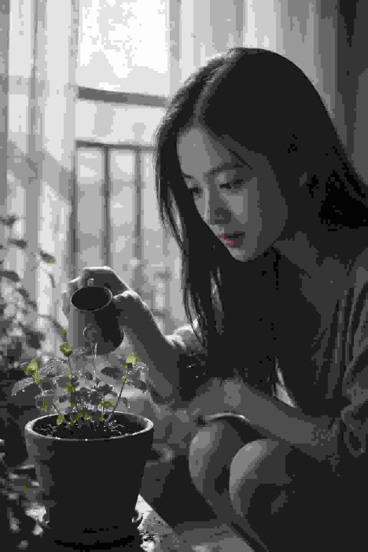 青春恋歌